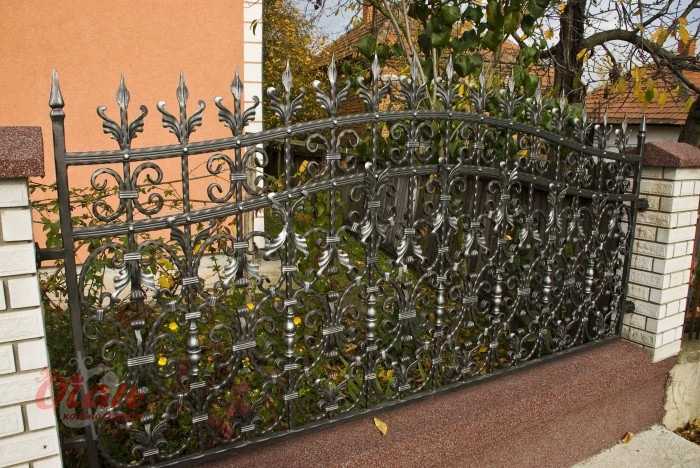 Fences / O1-043